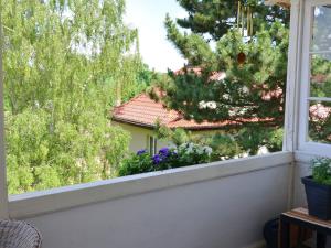 バート・ズダーオーデにあるModern holiday home in a listed villa with a view of Bad Suderodeのクリスマスツリーのある家の窓