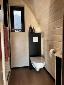 a small bathroom with a toilet and a window at Simmerwille - stilte accommodaties in nationaal park de Alde Feanen in Earnewâld +80 photos