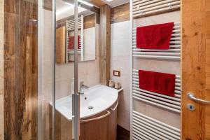 a bathroom with a sink and a shower at Ciesa del Selmo Faure in Sottoguda