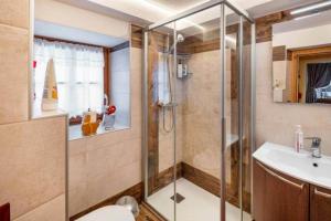 a bathroom with a shower and a toilet and a sink at Ciesa del Selmo Faure in Sottoguda
