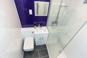 a bathroom with a toilet and a sink and a mirror at Chalet 11 in Deal +20 photos