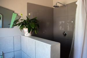 a bathroom with a shower with a plant on a counter at Kuruma Farm Cottages in Worcester +89 photos