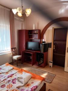 a bedroom with a bed and a flat screen tv at Pilóta Panzió in Szeged