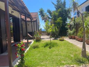 a garden outside a house with flowers and plants at Il Pettirosso in Acciaroli