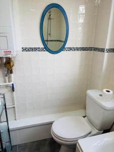 a bathroom with a toilet and a tub and a mirror at Kivel Cottage in Portland +23 photos