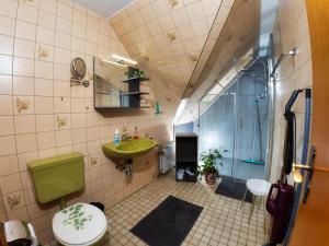 a bathroom with a sink and a toilet and a shower at Ferienwohnungen Anders in Braunlage