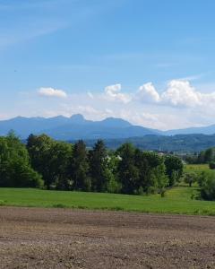 a field with trees and mountains in the distance at FeWo Mangfall in Bruckmühl