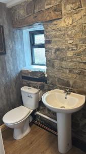 a bathroom with a toilet and a sink at Cosy Pubs Bed & Breakfast in Rhayader