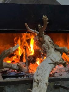 a fire in a fireplace with some logs and flames at The Martian Bubbles - Wadi Rum in Wadi Rum