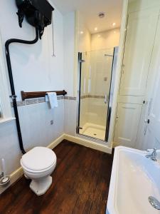 a bathroom with a toilet and a shower and a sink at Nethercoombe House in Portland +29 photos