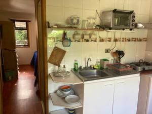 a small kitchen with a sink and a microwave at TINY HOUSE EL ROBLE in Puerto Varas