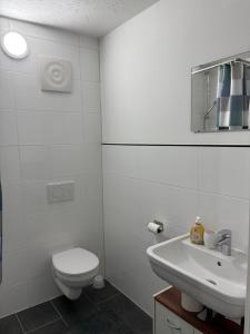 a white bathroom with a toilet and a sink at Apartmani Ela 1 in Sierning