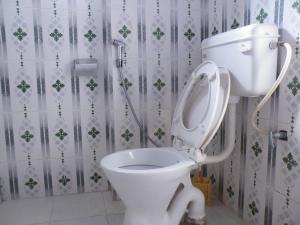 a white toilet in a bathroom with a shower at North face Studio in Pokhara