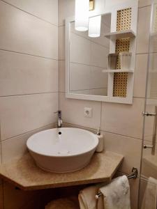 a bathroom with a sink and a mirror at Rohrbacher Hof in Berg bei Rohrbach +16 photos