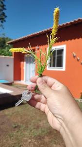 a person holding a bunch of flowers in their hand at Casa de Praia no Condomínio Florestinha com 02 quartos in Tamoios