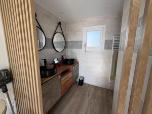 a bathroom with a sink and a mirror at Les vergers d'Anjoy in Montesquieu