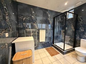 a bathroom with a shower and a toilet at Schorrebloem in Lombardsijde +22 photos