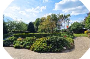 a garden with bushes and flowers in a park at Gîte 2 pers - La Pommeraie - Le Coin Ardenne in Sainte-Ode