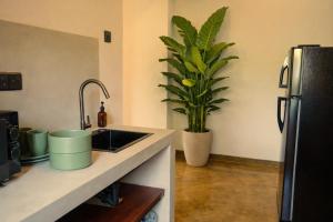 a kitchen with a sink and a potted plant at Drop Inn Studios in Ahangama