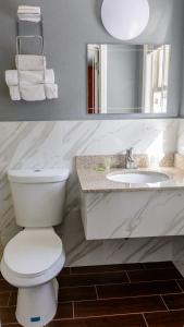 a bathroom with a toilet and a sink and a mirror at Redfox Motel in Foxborough