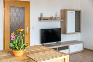 a living room with a television and a table with a potted plant at Top Unterkunft direkt vor Leipzig in Schkeuditz
