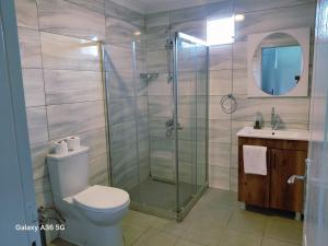 a bathroom with a shower and a toilet and a sink at Esta123 in Kavaklıdere +12 photos