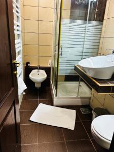 a bathroom with a shower and a sink and a toilet at IANIS Apartment in Orăştie