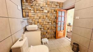 a bathroom with a toilet and a sink at Piti khangpa in Kaza +16 photos