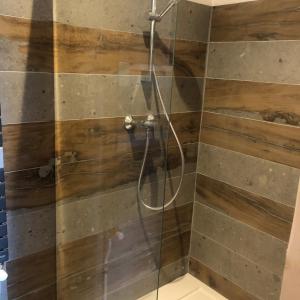 a shower with a glass door in a bathroom at Forest d' ARTO in Ancelle +37 photos
