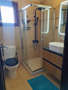 a bathroom with a shower and a toilet and a sink at Teo`s Seaview Specious Apartment, Nikiti near Harbor in Nikiti +7 photos