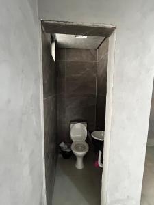 a small bathroom with a toilet and a sink at Sobrado Oliveira in Goiânia +6 photos