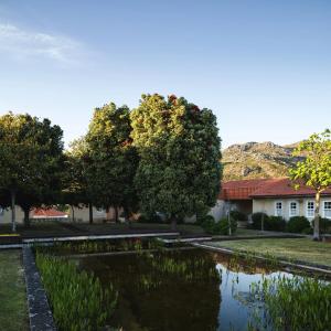 a garden with a pond in front of a building at Quinta das Mineirinhas in Vila Nova de Cerveira