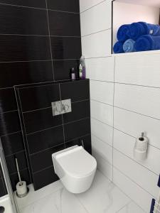 a bathroom with a toilet and black and white tiles at Ubytování U Rozárky in Trpnouze +9 photos