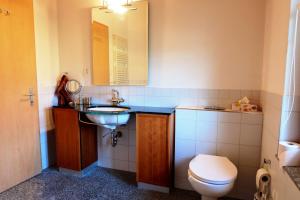 a bathroom with a sink and a toilet at Comfortable quiet apartement with great view in Diemtigen