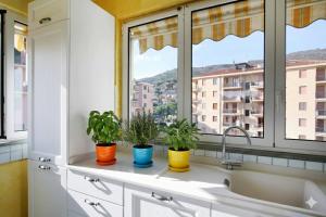 a kitchen with two potted plants on a window ledge at WI-RO Risorgimento,9 - La Perla di Andora in Marina di Andora +22 photos