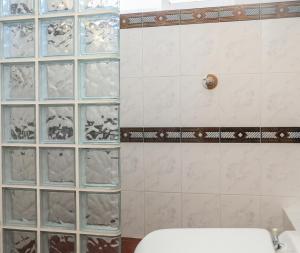 a bathroom with a shower with glass blocks on the wall at VILLA MITZELOS in Skiathos +30 photos