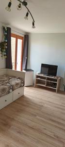 a room with a bed and a tv on a table at Passage des Jardins in Sorède