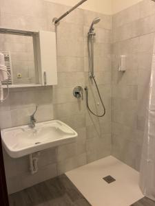 ein Badezimmer mit Waschbecken und Dusche in der Unterkunft Hotel Riccò in Bagnolo San Vito