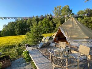 a gazebo with chairs and a deck with a dog at Vista Vibes Glamping in Grillby