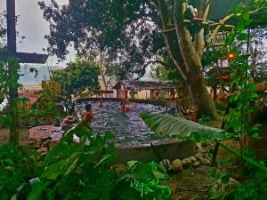 a group of people playing in a pool in a garden at Pemsee's Tree Town - Eco Treehouse Hostel in Sauraha