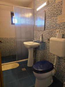 a bathroom with a toilet and a sink at Pensiunea Maria , Floresti in Floreşti