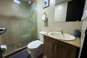 a bathroom with a toilet and a sink and a shower at amplio y lujoso apartasuite en el centro in Cartago +17 photos
