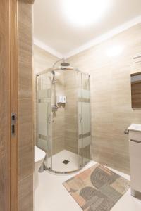 a glass shower in a bathroom with a toilet at Trajadinha do Lima Apart in Ponte de Lima