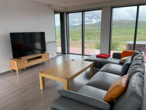 セールフォスにあるModern Villaのソファとテーブルとテレビのあるリビングルーム