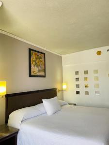 a bedroom with two beds and a picture on the wall at Arroyo Express in Zacatecas