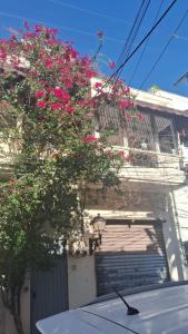 a building with a garage door with a tree with pink flowers at Apartamento-2B-Zona-Colonial in Santo Domingo