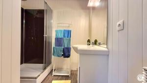 a bathroom with a sink and a shower with a mirror at Les Hirondelles in Ouroux