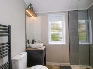 a bathroom with a toilet and a sink and a window at Tulip in Leominster +30 photos