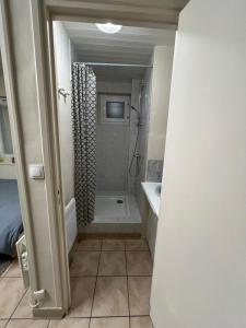 a bathroom with a shower and a bath tub at Le Nid du Centre in Anzin