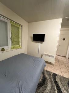 a bedroom with a bed and a flat screen tv at Le Nid du Centre in Anzin
